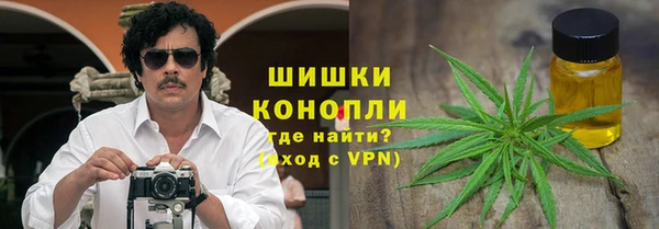 ешки Новодвинск