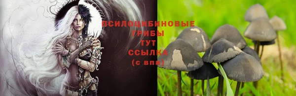 крисы Нягань