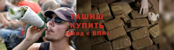 ешки Новодвинск