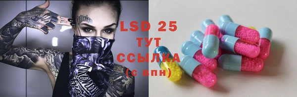ешки Новодвинск