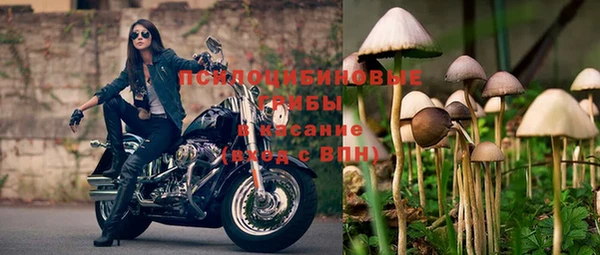 ешки Новодвинск