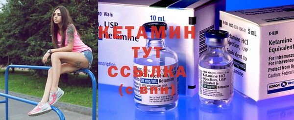ешки Новодвинск