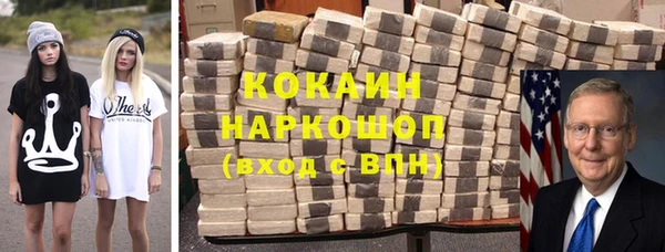 ешки Новодвинск
