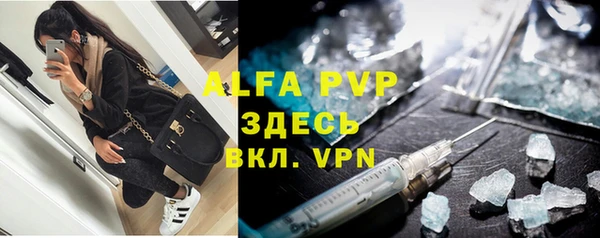 ешки Новодвинск
